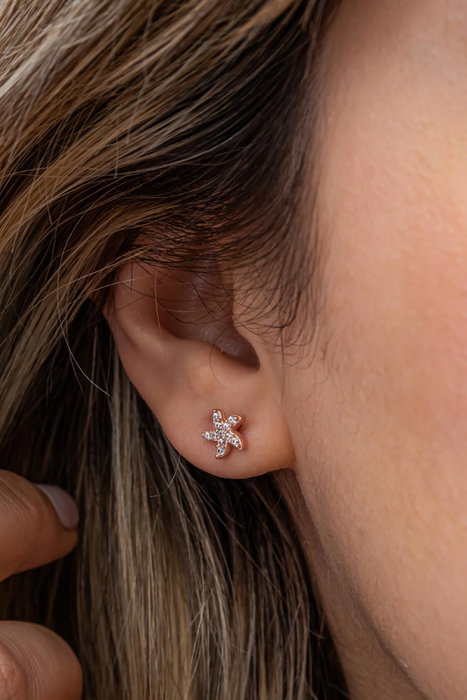 Heliophilia Silver Pendientes de Plata de Ley 925 con Oro Rosa y Circón